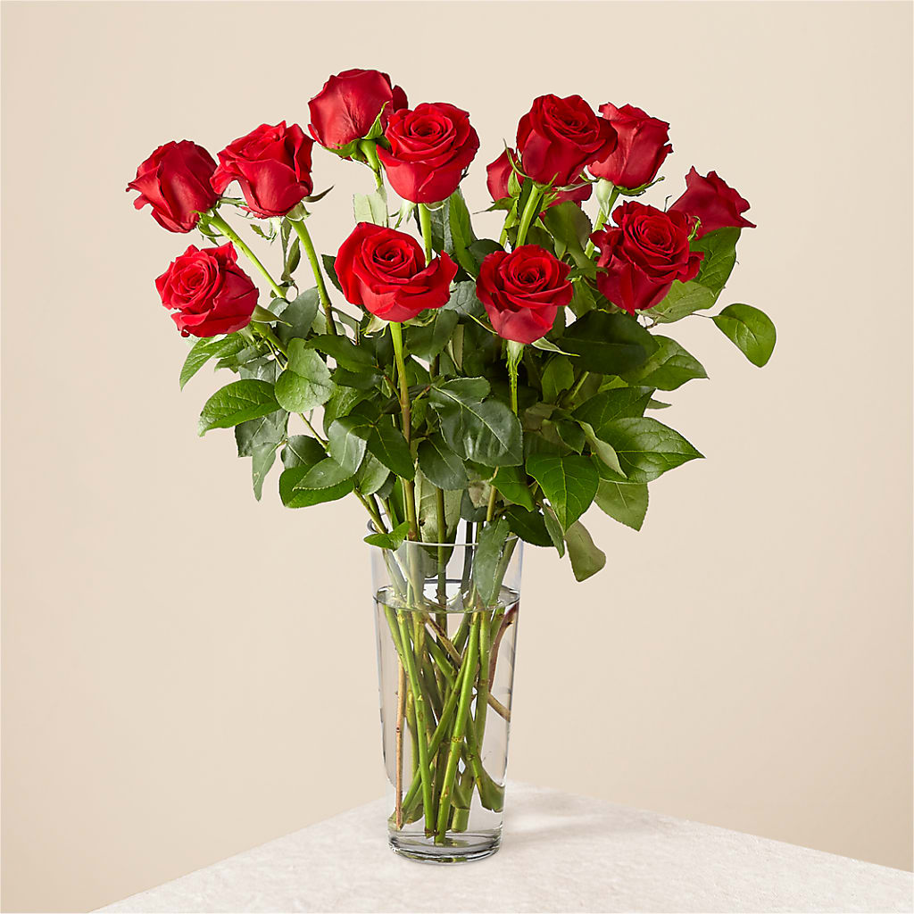 Long Stem Red Rose Bouquet – Grand Flowers/irish Rose, Novi MI