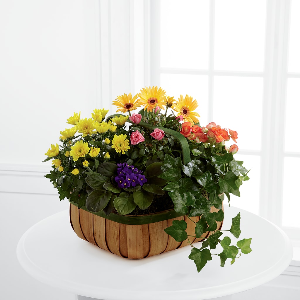 Gentle Blossoms Basket – Grand Flowers/irish Rose, Novi MI