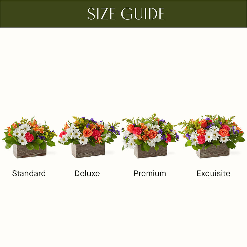 Oopsie Daisy Box Bouquet – Grand Flowers/irish Rose, Novi MI