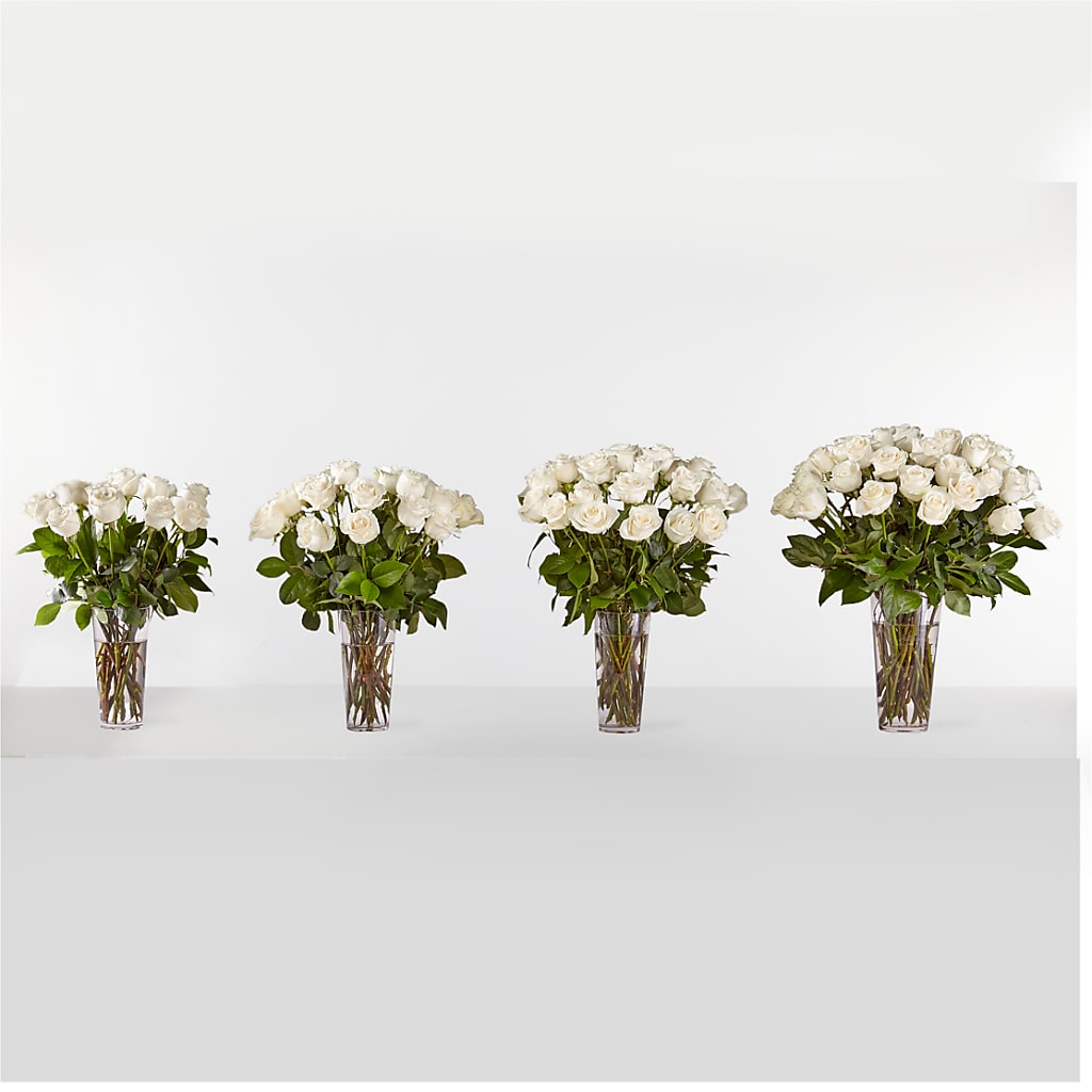 Long Stem White Rose Bouquet – Grand Flowers/irish Rose, Novi MI