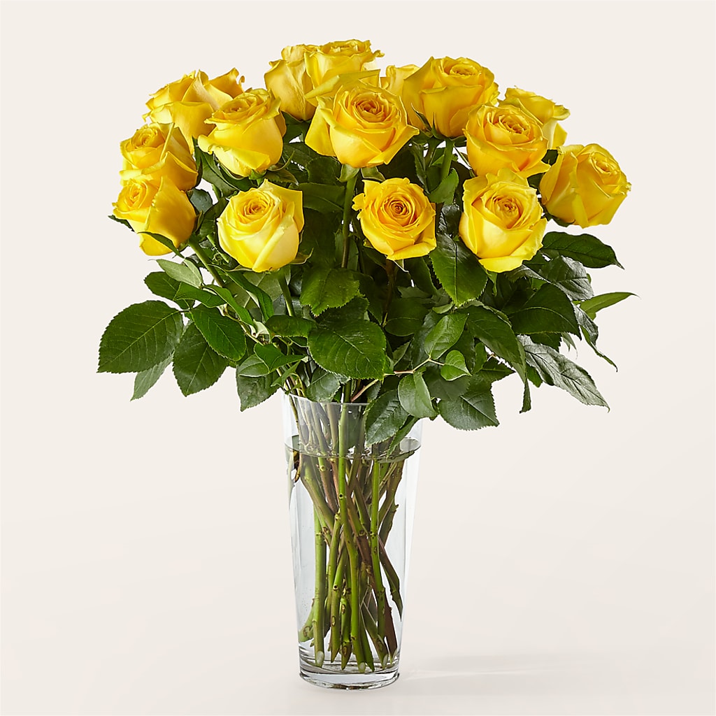 Long Stem Yellow Rose Bouquet – Grand Flowers/irish Rose, Novi MI