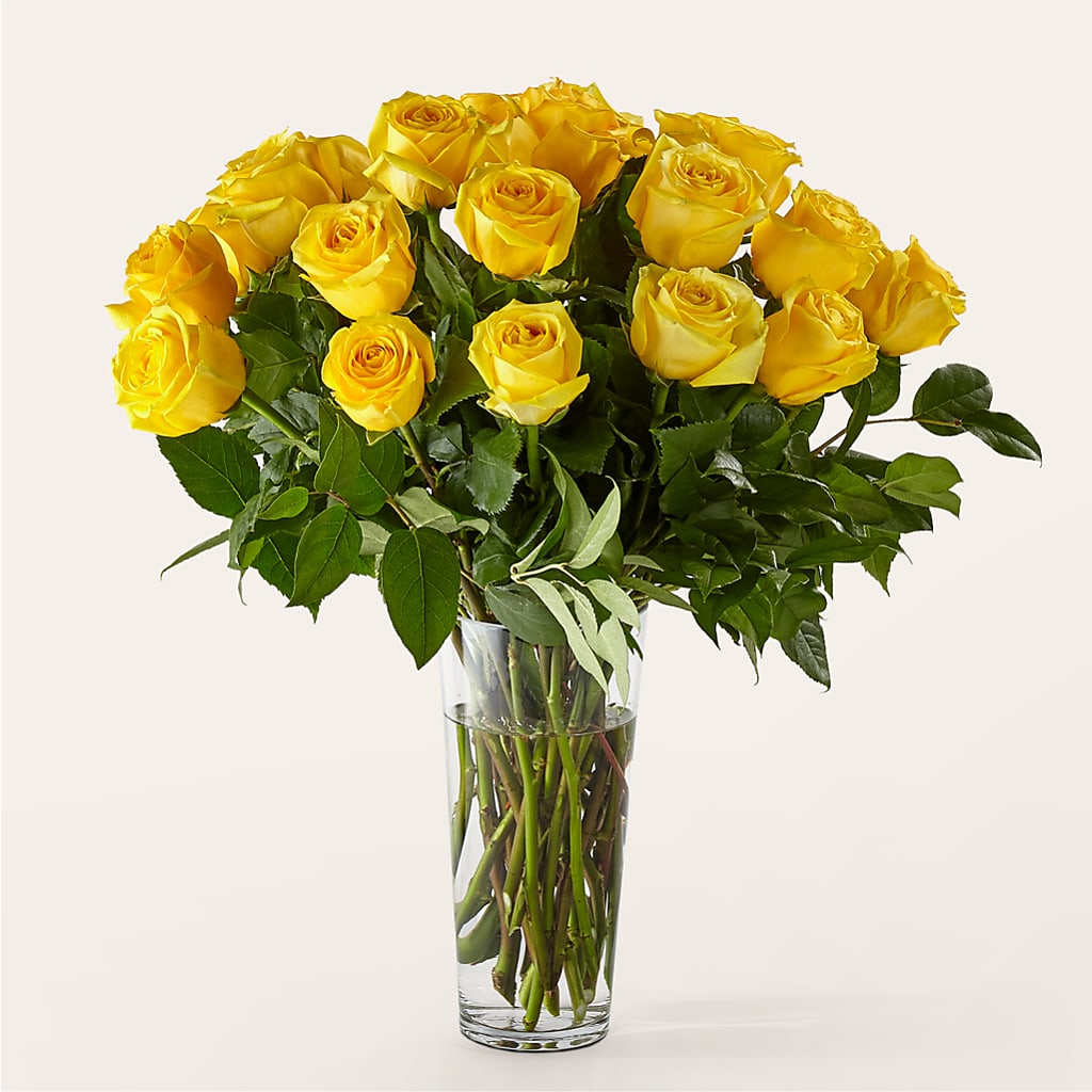 Long Stem Yellow Rose Bouquet – Grand Flowers/irish Rose, Novi MI