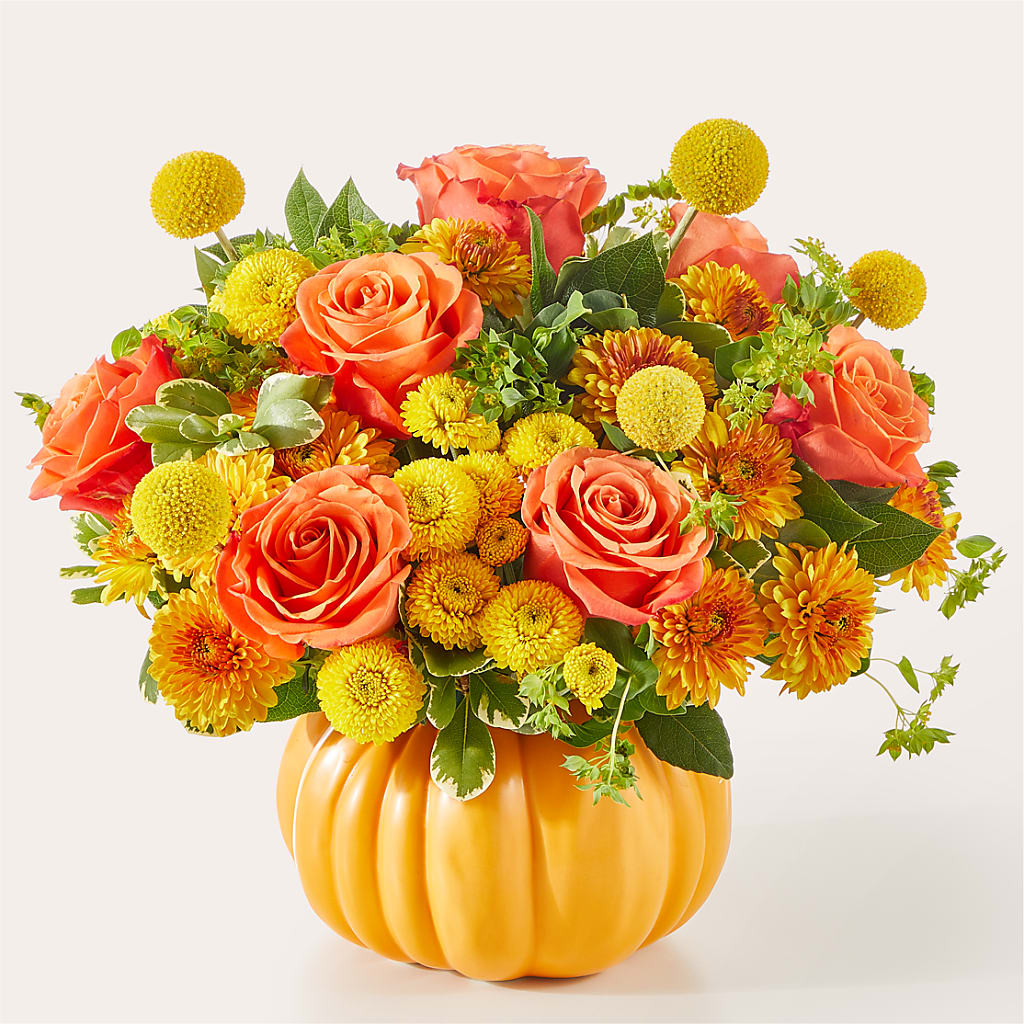 Gourdgeous Pumpkin – Grand Flowers/irish Rose, Novi MI