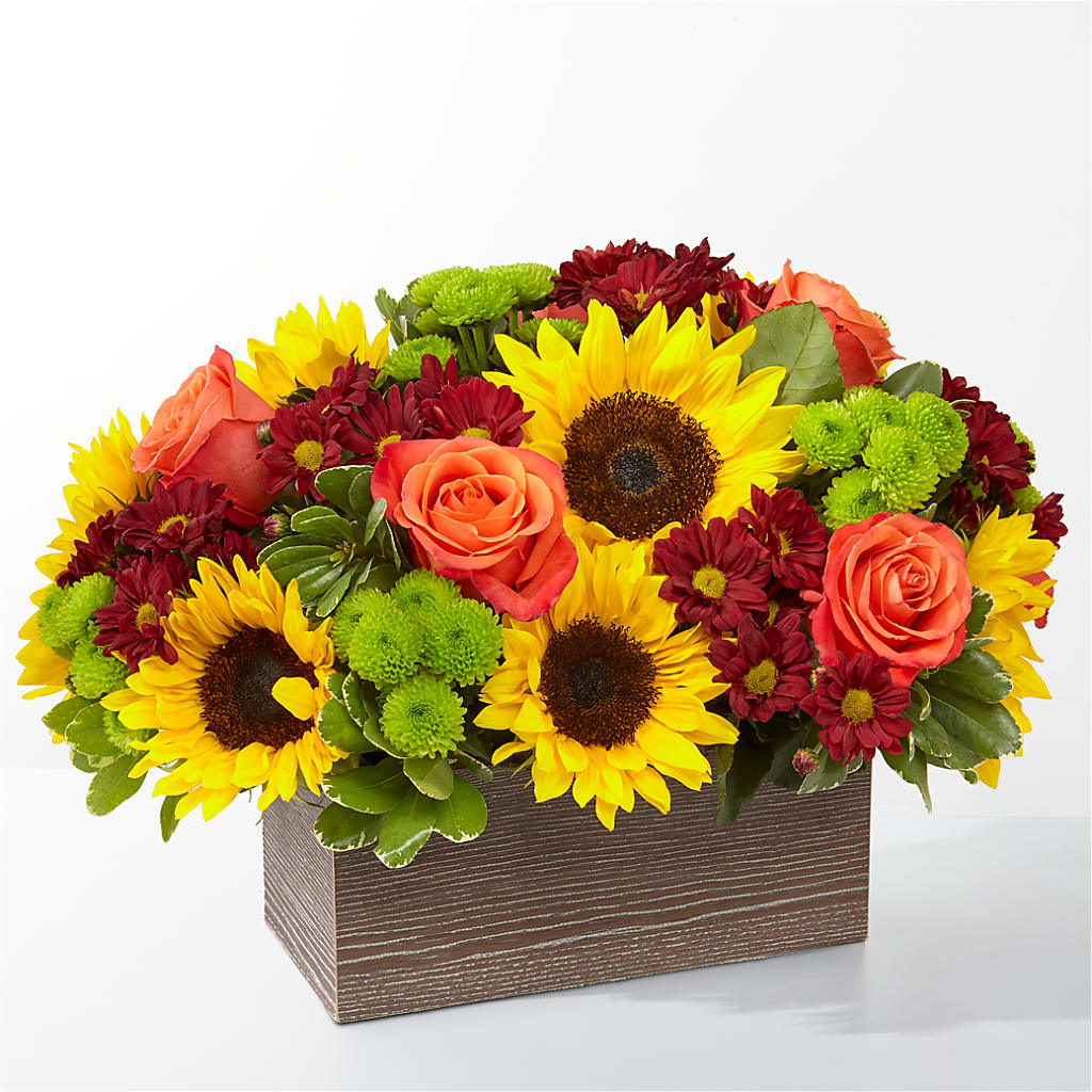 Happy Harvest Garden – Grand Flowers/irish Rose, Novi MI