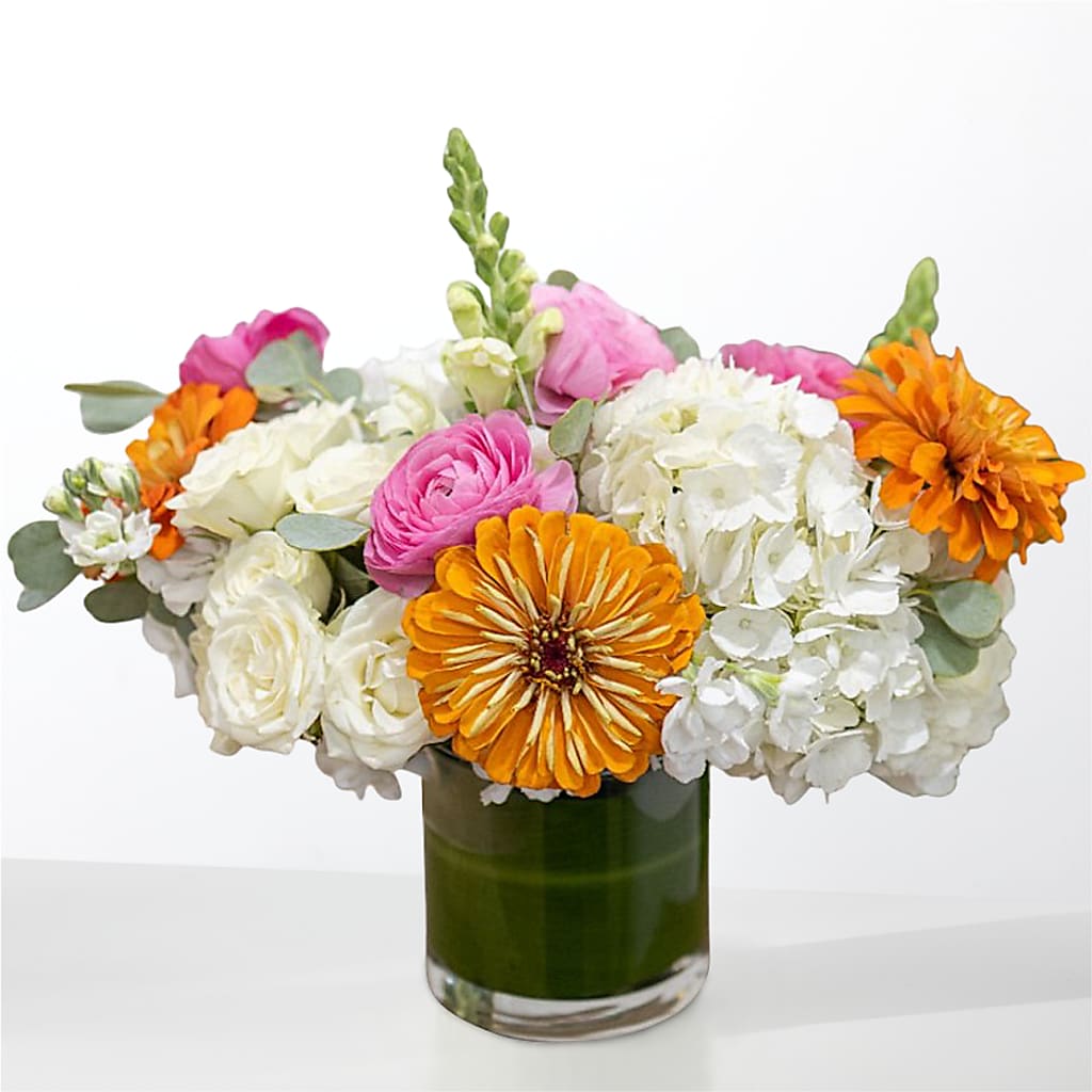 The Meet Cute – Grand Flowers/irish Rose, Novi MI