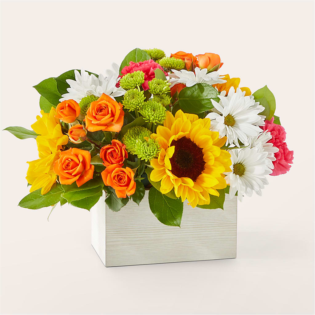 Sun-drenched Blooms Box Bouquet – Grand Flowers/irish Rose, Novi MI