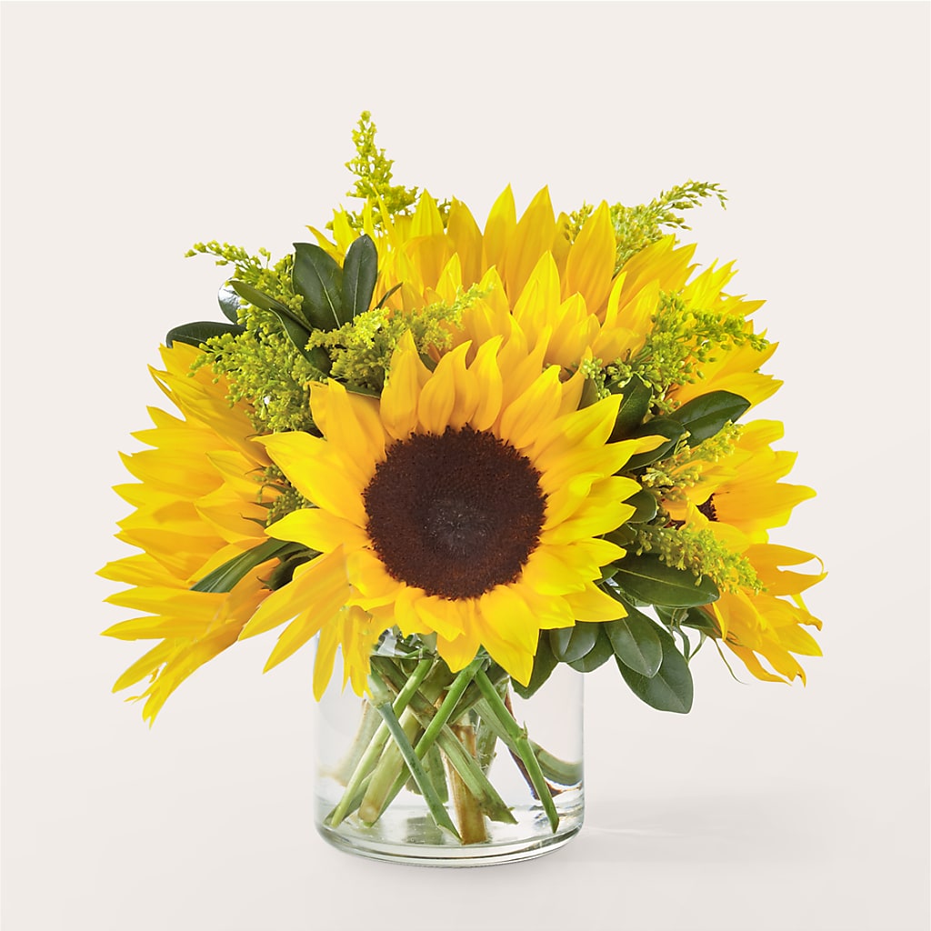 Beaming Sunflower Bouquet – Grand Flowers/irish Rose, Novi MI