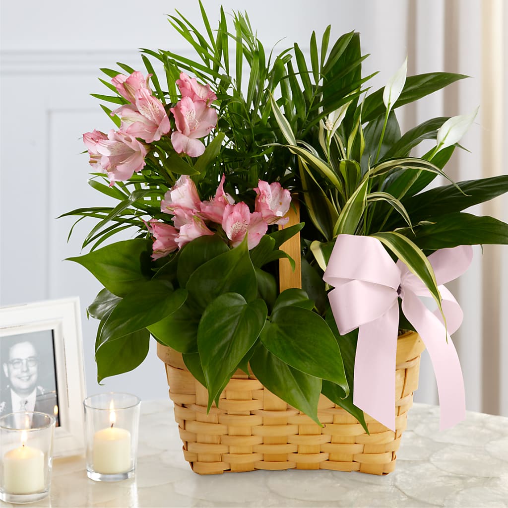 Living Spirit Dishgarden – Grand Flowers/irish Rose, Novi MI