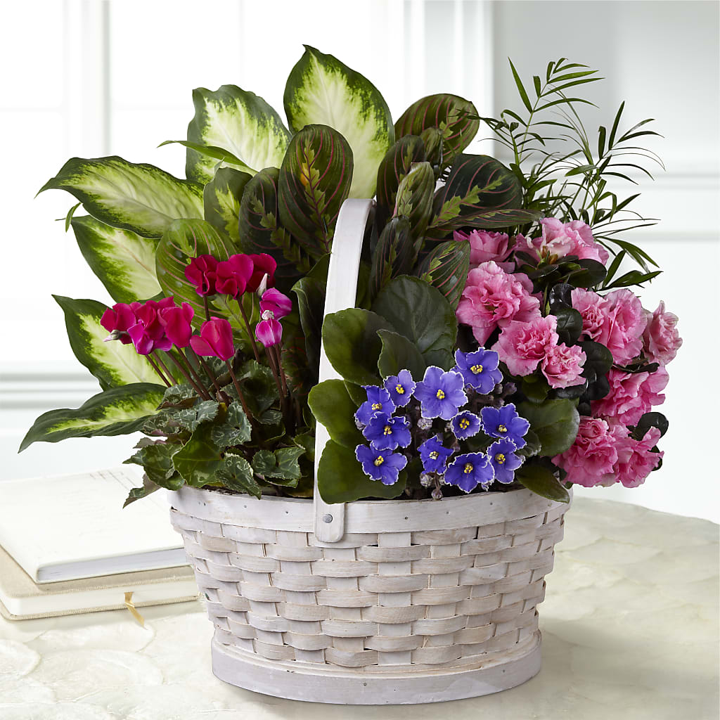 Peaceful Garden Planter – Grand Flowers/irish Rose, Novi MI