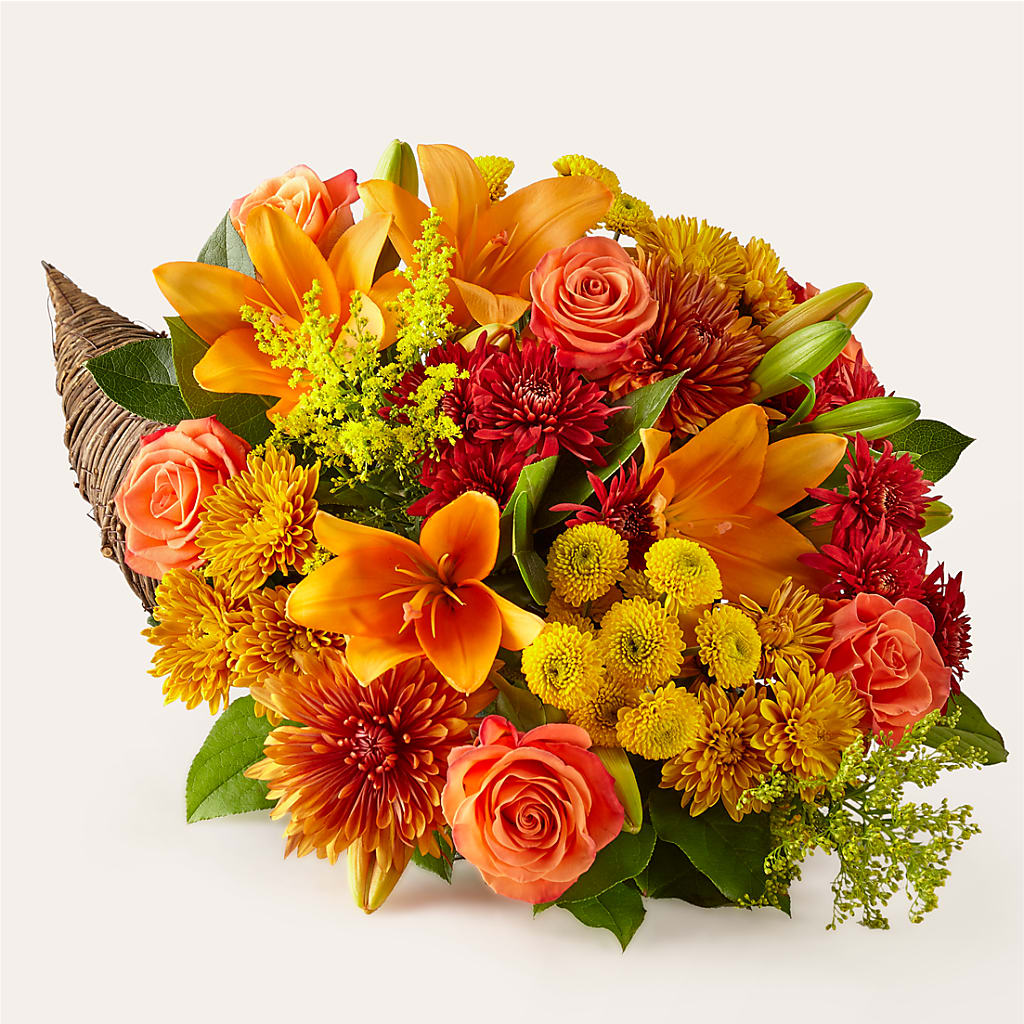 Feast of Color Cornucopia – Grand Flowers/irish Rose, Novi MI