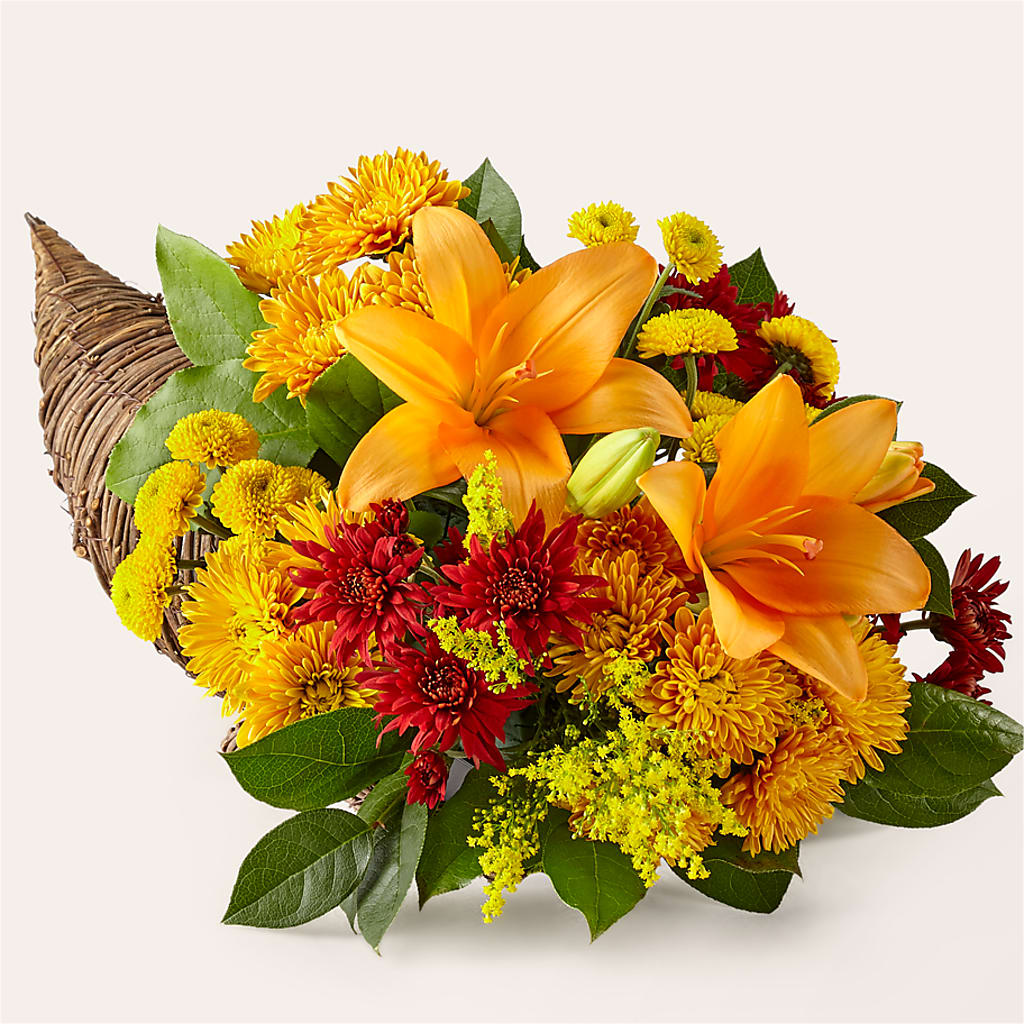 Feast of Color Cornucopia – Grand Flowers/irish Rose, Novi MI