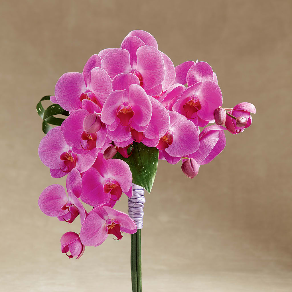 Glorious Bouquet – Grand Flowers/irish Rose, Novi MI