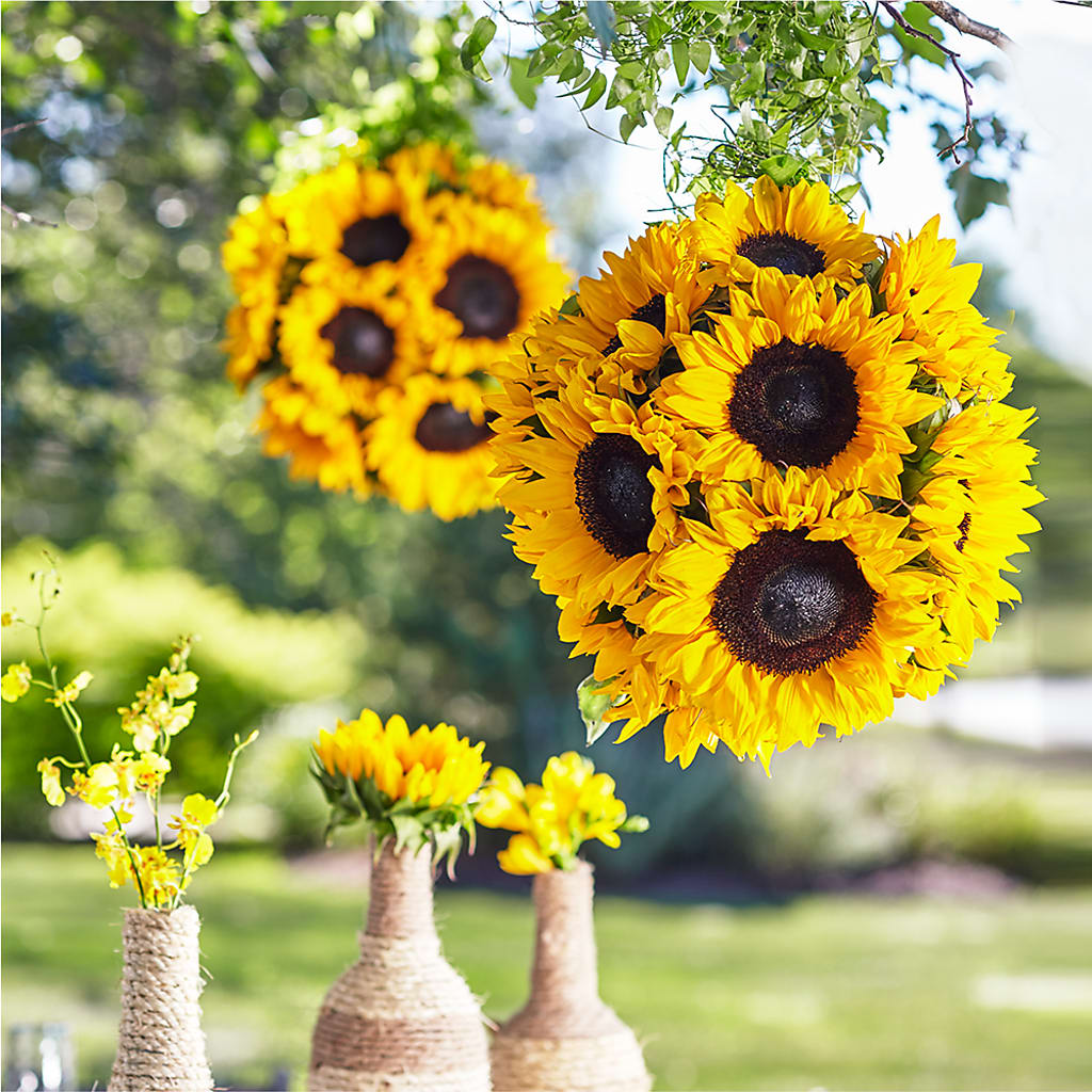 Sublime Garden Hanging Arrangement – Grand Flowers/irish Rose, Novi MI