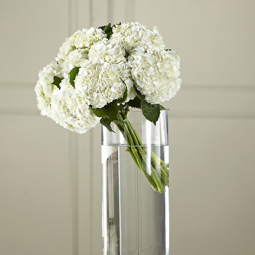 White Hydrangea Hand-Tied Bouquet – Grand Flowers/irish Rose, Novi MI