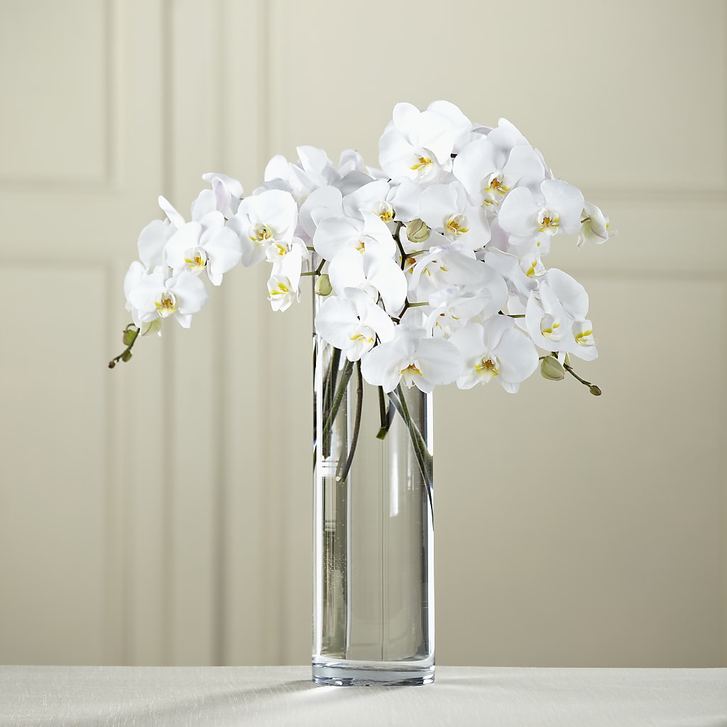 White Phalaenopsis Bouquet – Grand Flowers/irish Rose, Novi MI