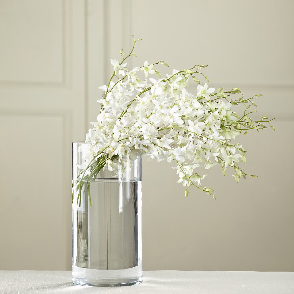 White Dendrobium Bouquet – Grand Flowers/irish Rose, Novi MI