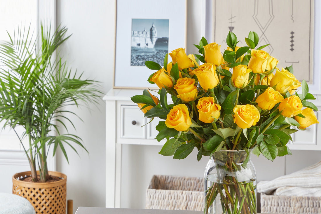 Congratulations Flowers Livonia Irish Rose & GiftsPage 3Irish Rose