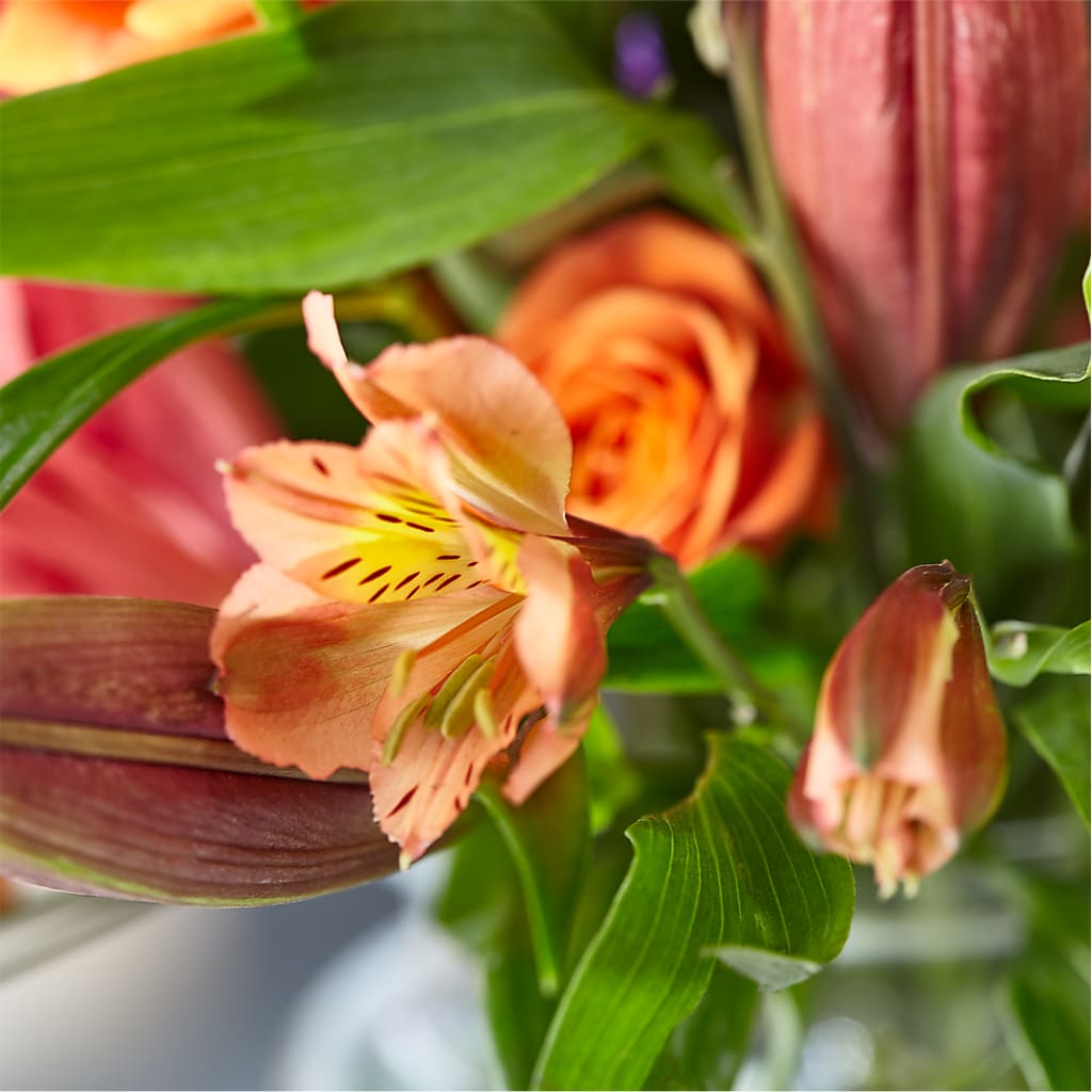 Bold & Bright – A Florist Original –  Grand Flowers/irish Rose, Novi MI