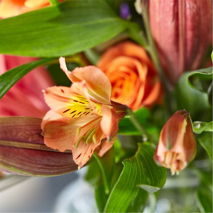 Bold & Bright – A Florist Original –  Grand Flowers/irish Rose, Novi MI