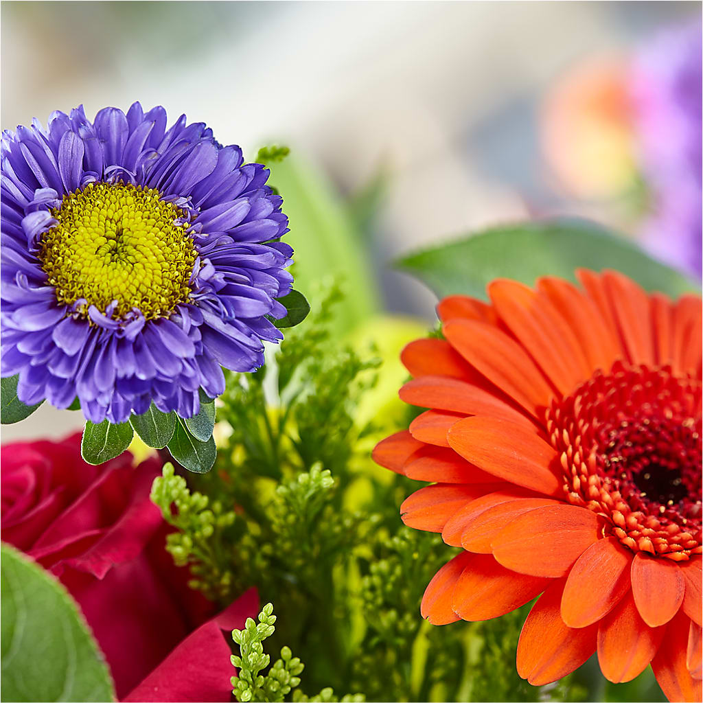 Bold & Bright – A Florist Original –  Grand Flowers/irish Rose, Novi MI