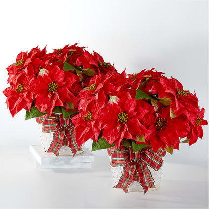 Happiest Holidays Poinsettia Bundle –  Grand Flowers/irish Rose, Novi MI
