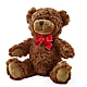 Adorable Plush Bear –  Grand Flowers/irish Rose, Novi MI