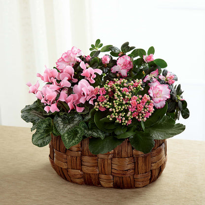 Pink Assortment –  Grand Flowers/irish Rose, Novi MI
