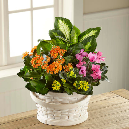 Color Crush Dishgarden –  Grand Flowers/irish Rose, Novi MI
