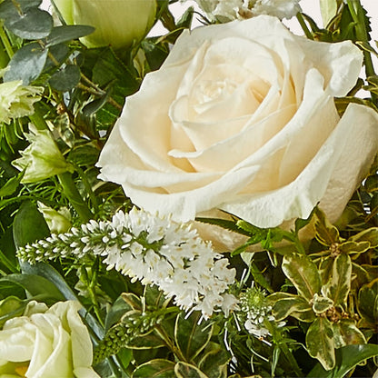 Cashmere Bouquet –  Grand Flowers/irish Rose, Novi MI