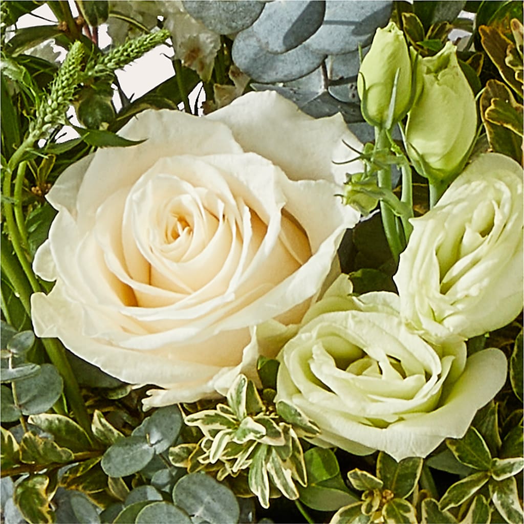 Cashmere Bouquet –  Grand Flowers/irish Rose, Novi MI