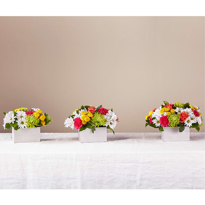 Sorbet Bouquet –  Grand Flowers/irish Rose, Novi MI
