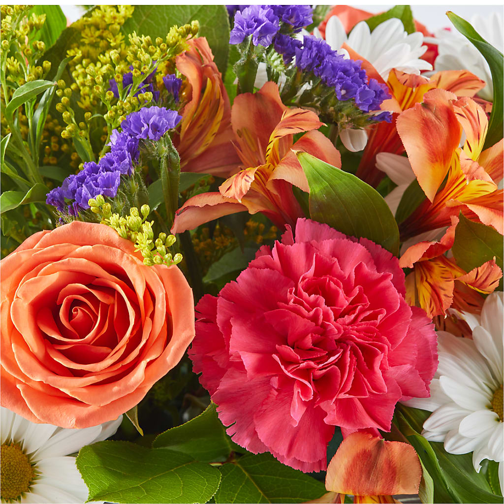Oopsie Daisy Box Bouquet –  Grand Flowers/irish Rose, Novi MI