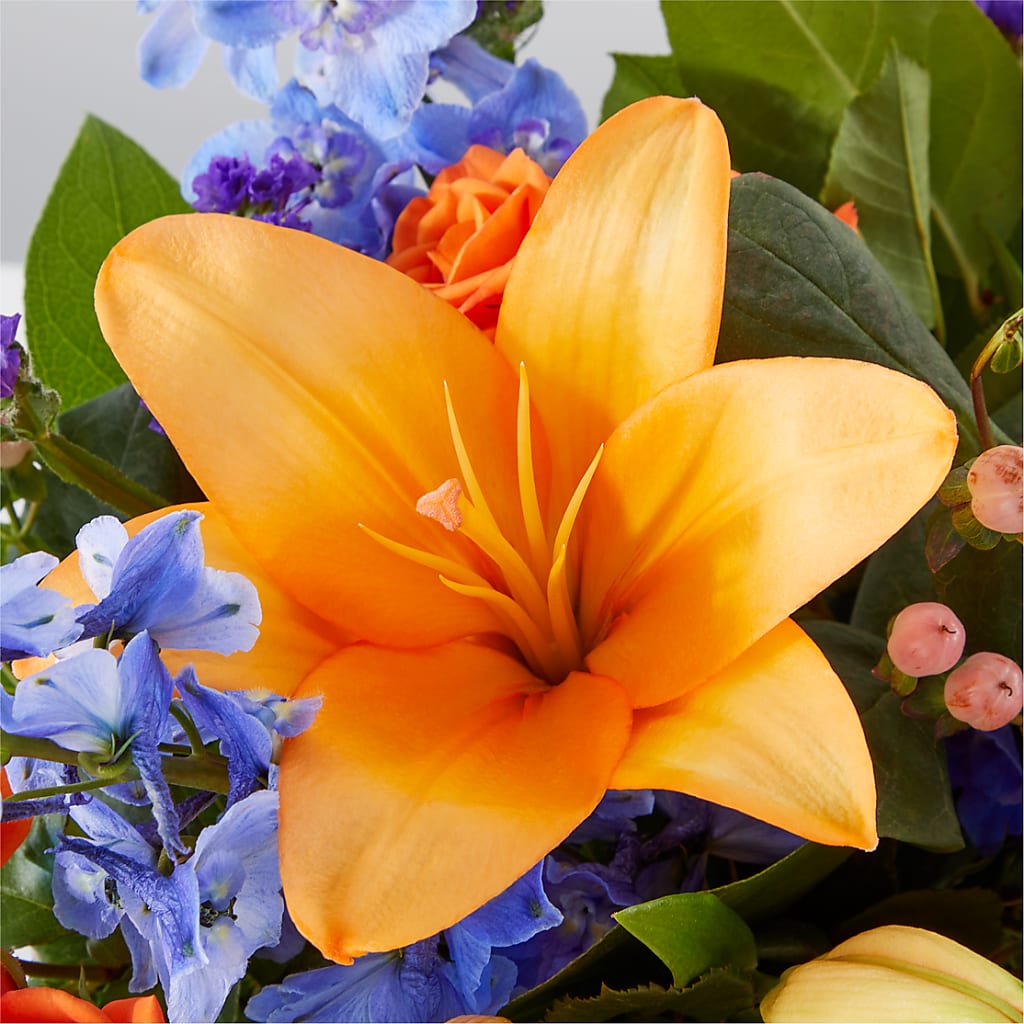 Radiant Citrus Box Bouquet –  Grand Flowers/irish Rose, Novi MI