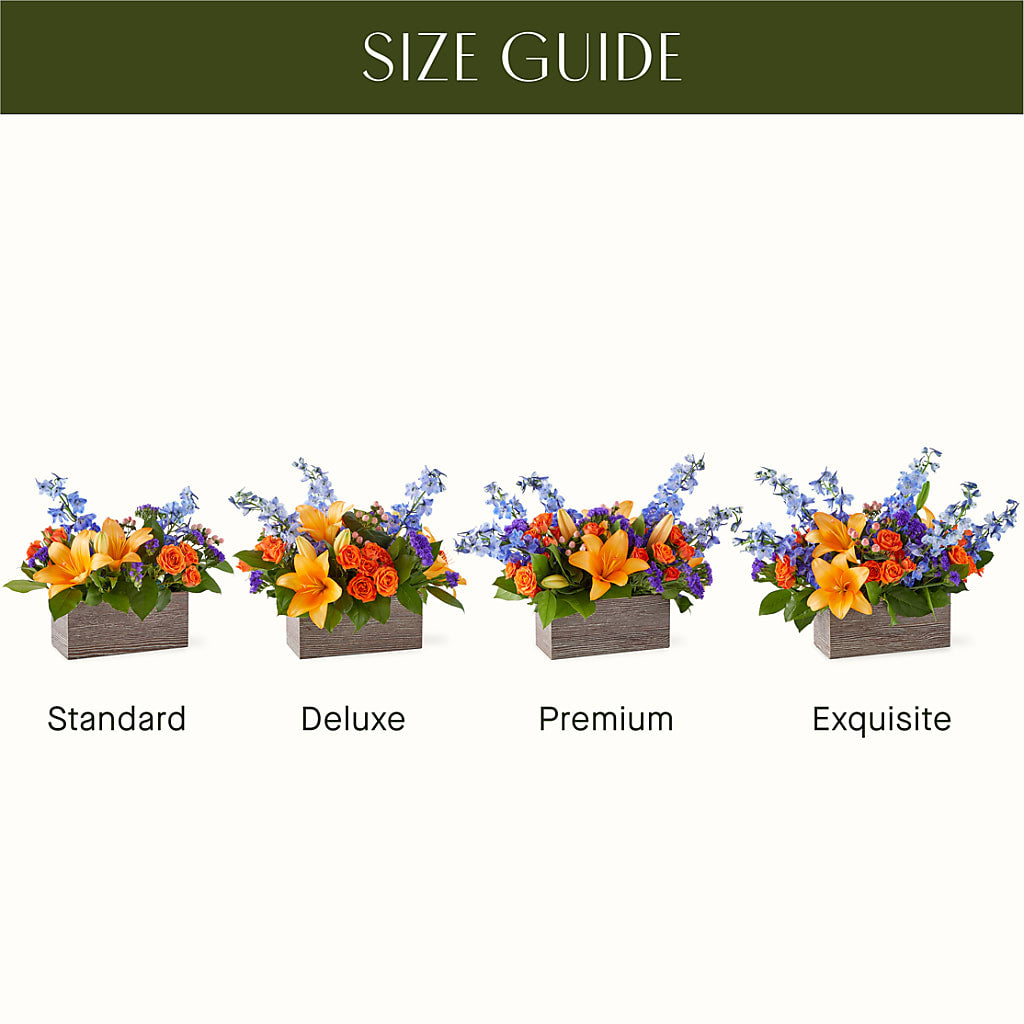 Radiant Citrus Box Bouquet –  Grand Flowers/irish Rose, Novi MI