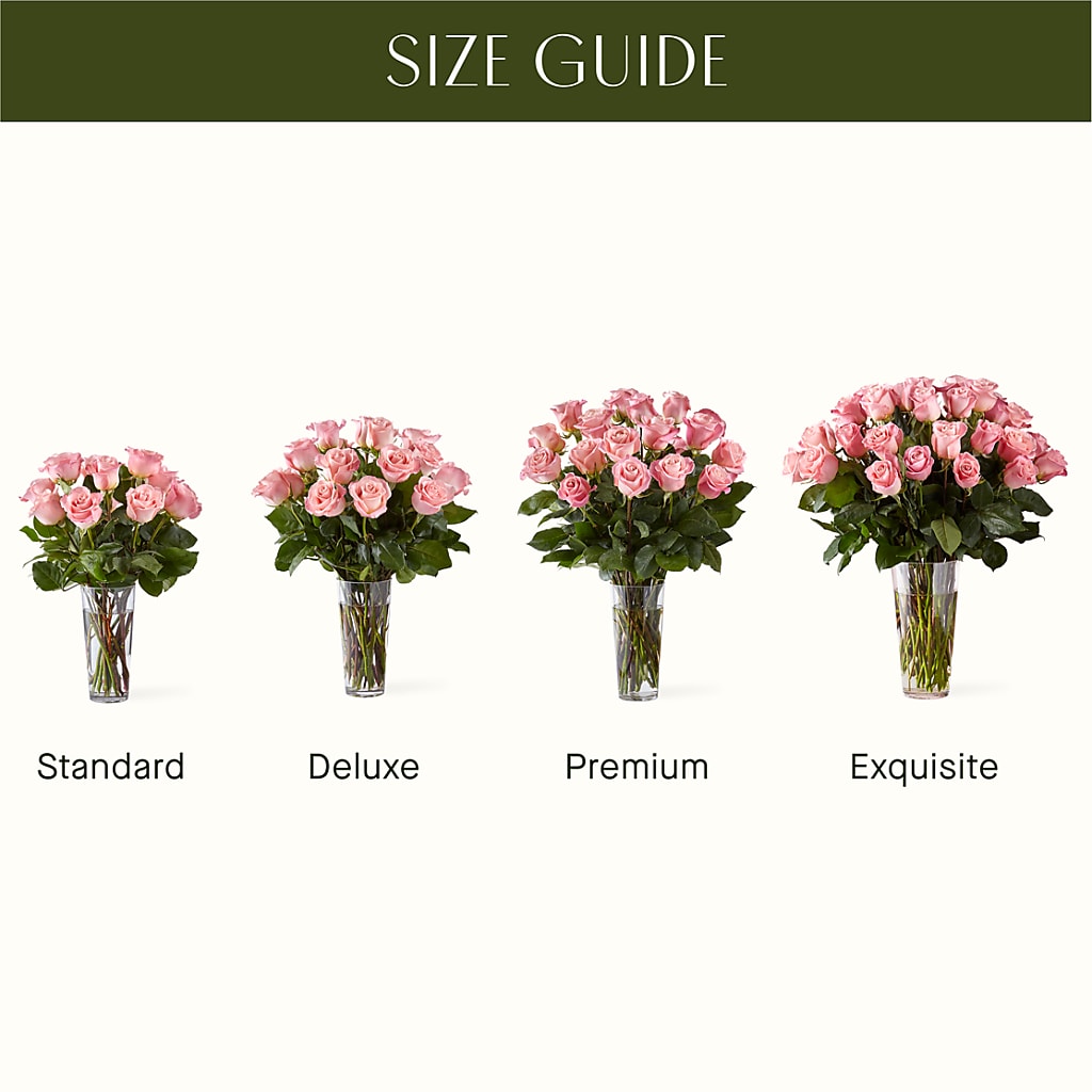 Long Stem Pink Rose Bouquet –  Grand Flowers/irish Rose, Novi MI