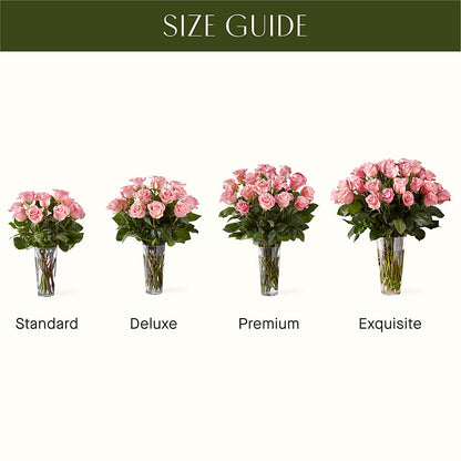 Long Stem Pink Rose Bouquet –  Grand Flowers/irish Rose, Novi MI