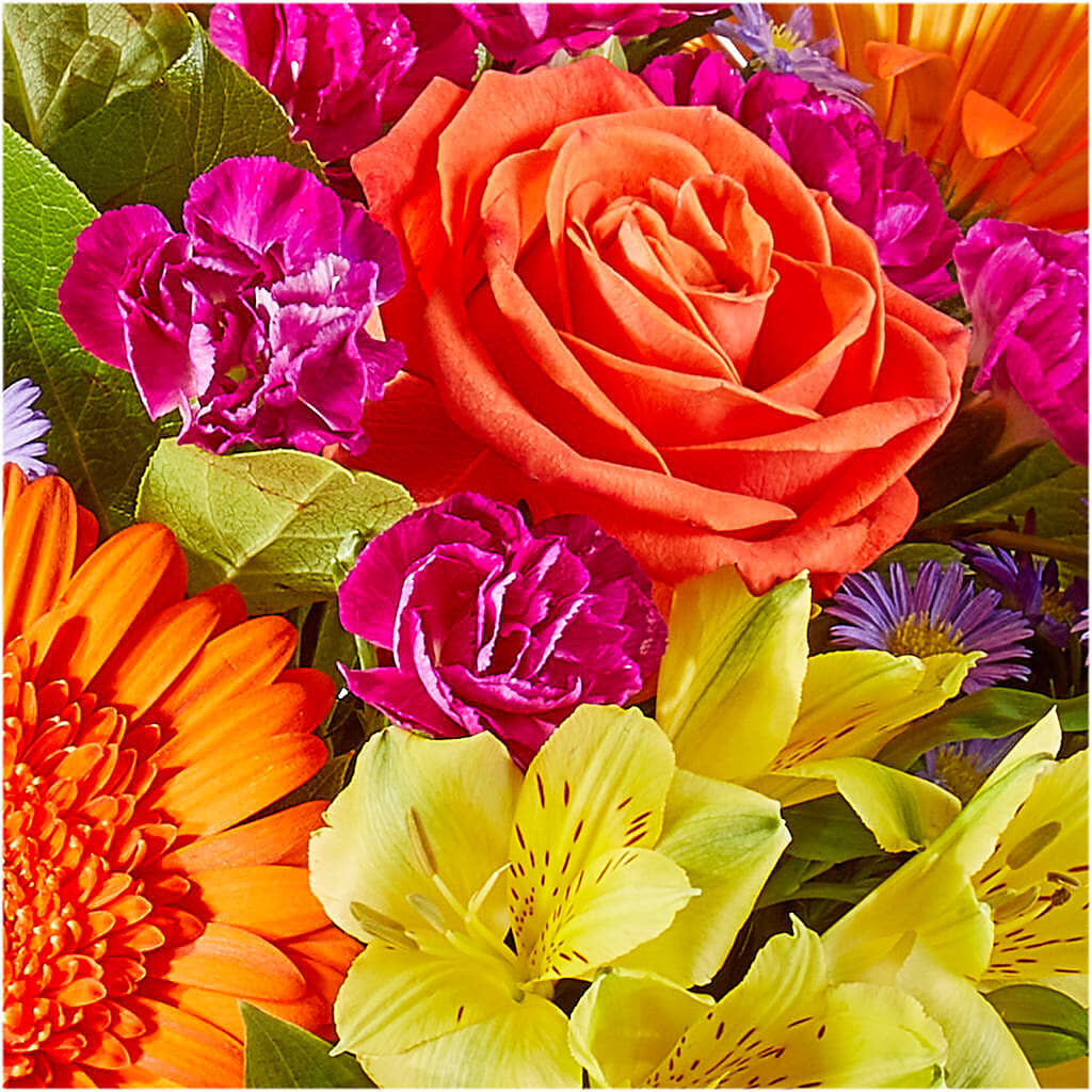Tricks & Treats Pumpkin –  Grand Flowers/irish Rose, Novi MI