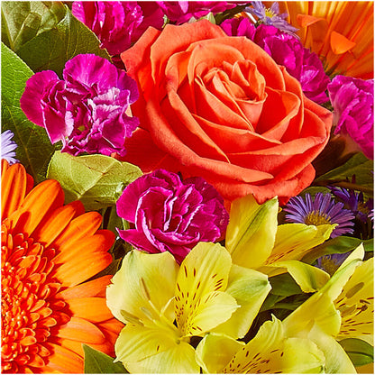 Tricks & Treats Pumpkin –  Grand Flowers/irish Rose, Novi MI
