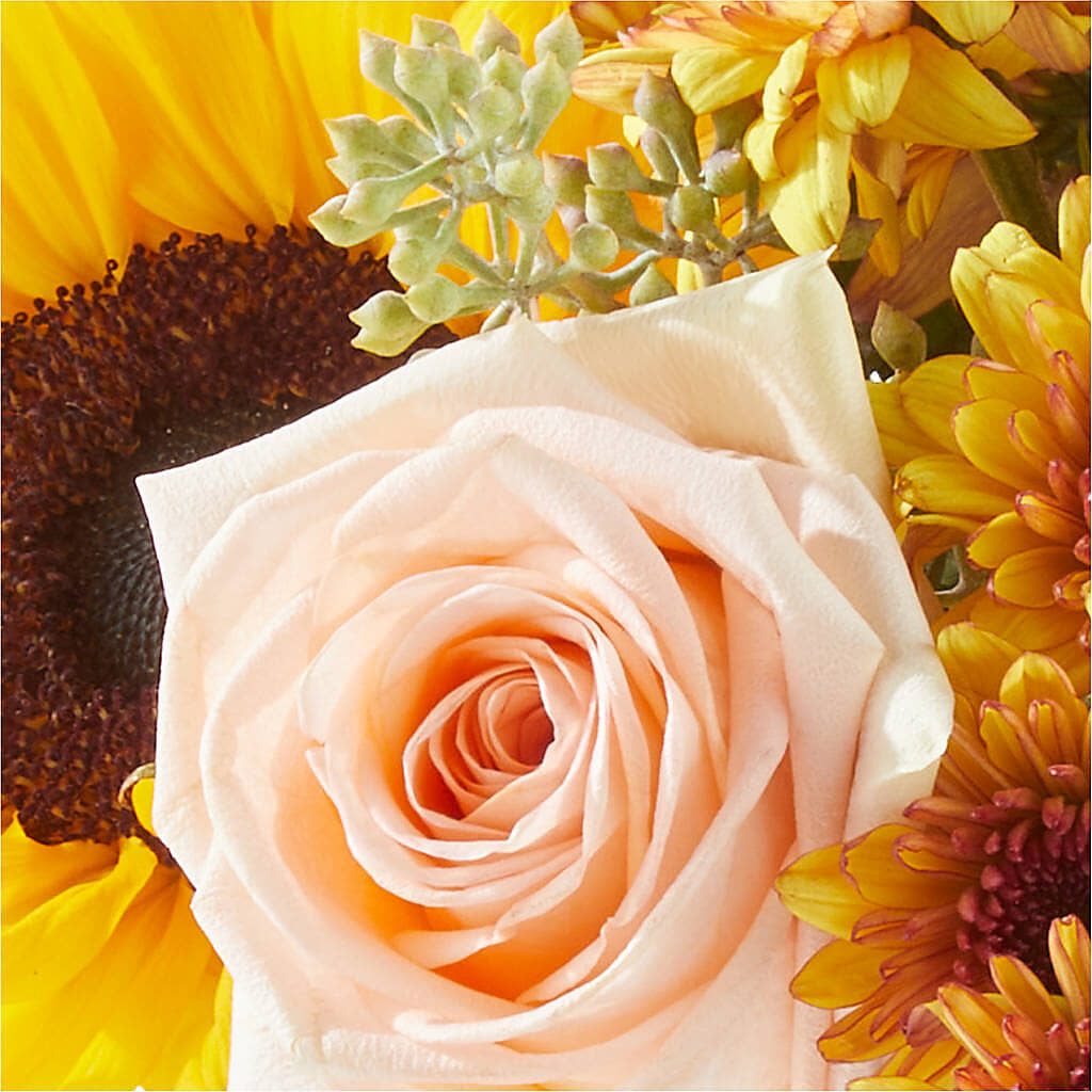 Pumpkin to Talk About Bouquet –  Grand Flowers/irish Rose, Novi MI
