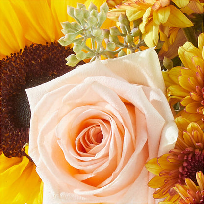 Pumpkin to Talk About Bouquet –  Grand Flowers/irish Rose, Novi MI