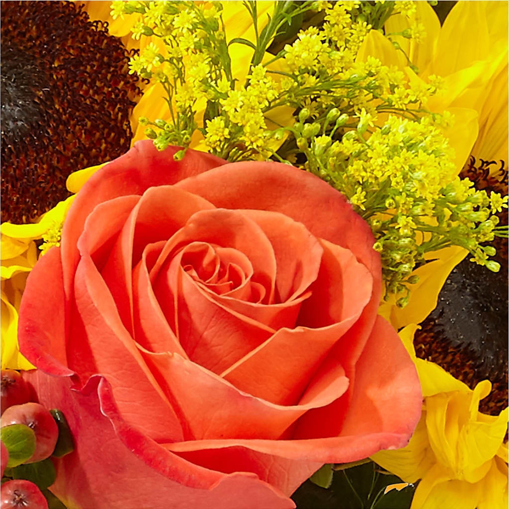 Pick of the Patch Pumpkin Bouquet –  Grand Flowers/irish Rose, Novi MI