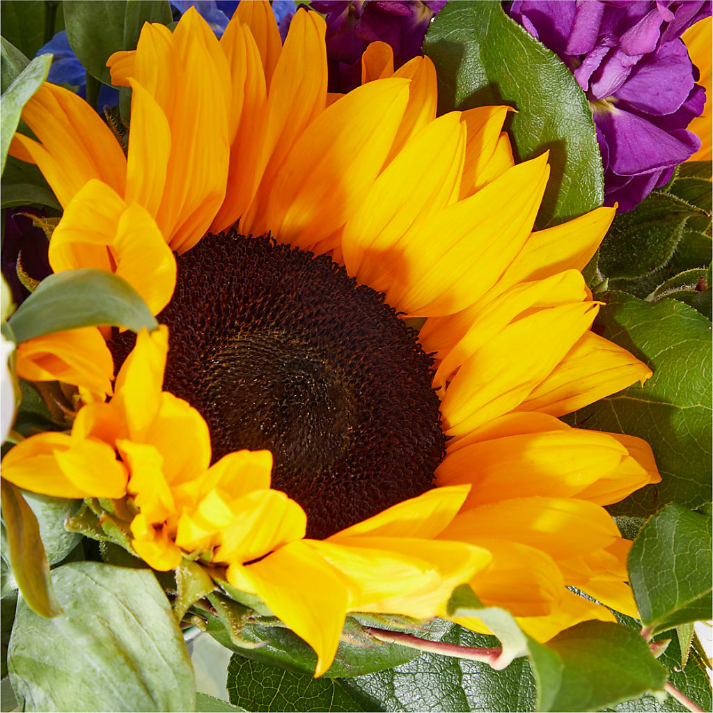 Catching Rays Bouquet –  Grand Flowers/irish Rose, Novi MI
