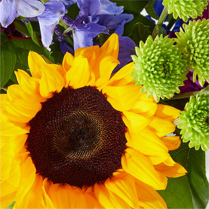 Catching Rays Bouquet –  Grand Flowers/irish Rose, Novi MI