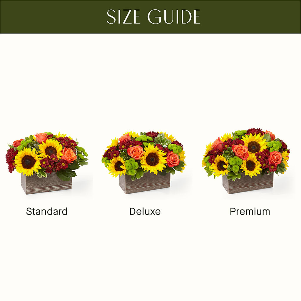 Happy Harvest Garden –  Grand Flowers/irish Rose, Novi MI