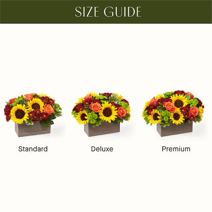 Happy Harvest Garden –  Grand Flowers/irish Rose, Novi MI