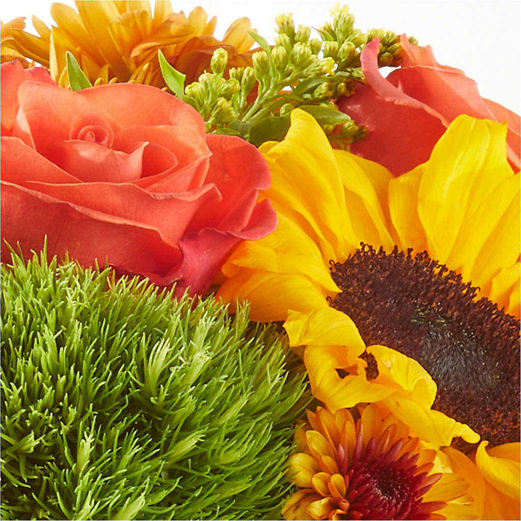 Farmer’s Market Stroll Bouquet –  Grand Flowers/irish Rose, Novi MI