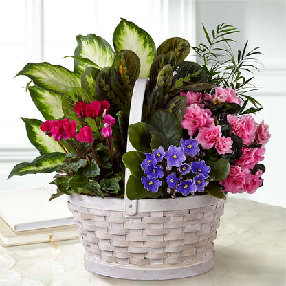 Peaceful Garden Planter –  Grand Flowers/irish Rose, Novi MI