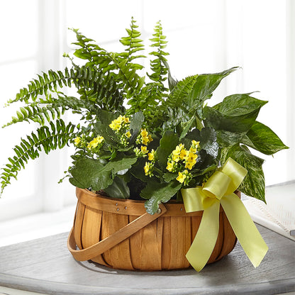 Always Dear Dishgarden –  Grand Flowers/irish Rose, Novi MI