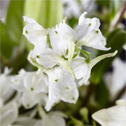 Classic Ivory – A Florist Original –  Grand Flowers/irish Rose, Novi MI