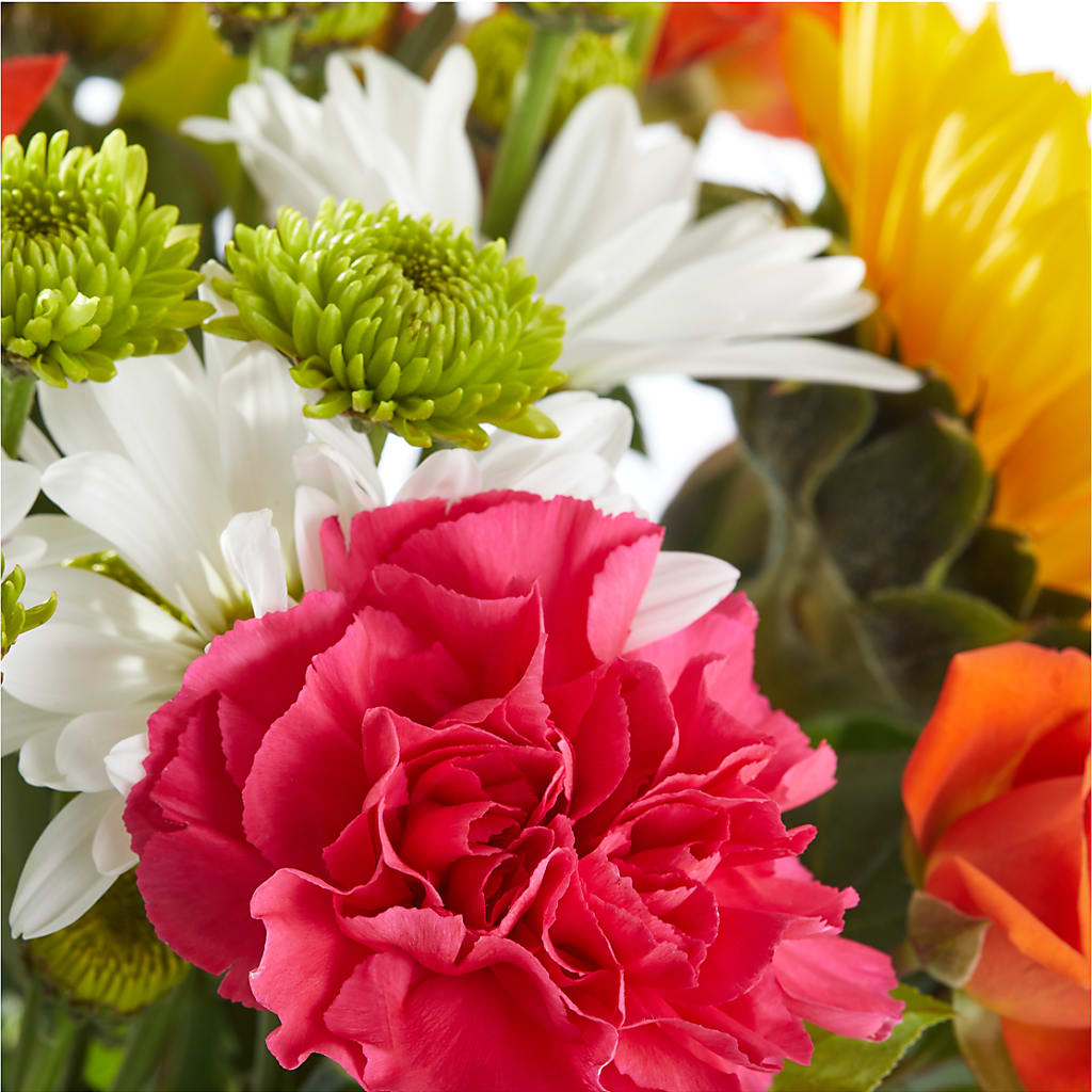 Sun-drenched Blooms Bouquet –  Grand Flowers/irish Rose, Novi MI